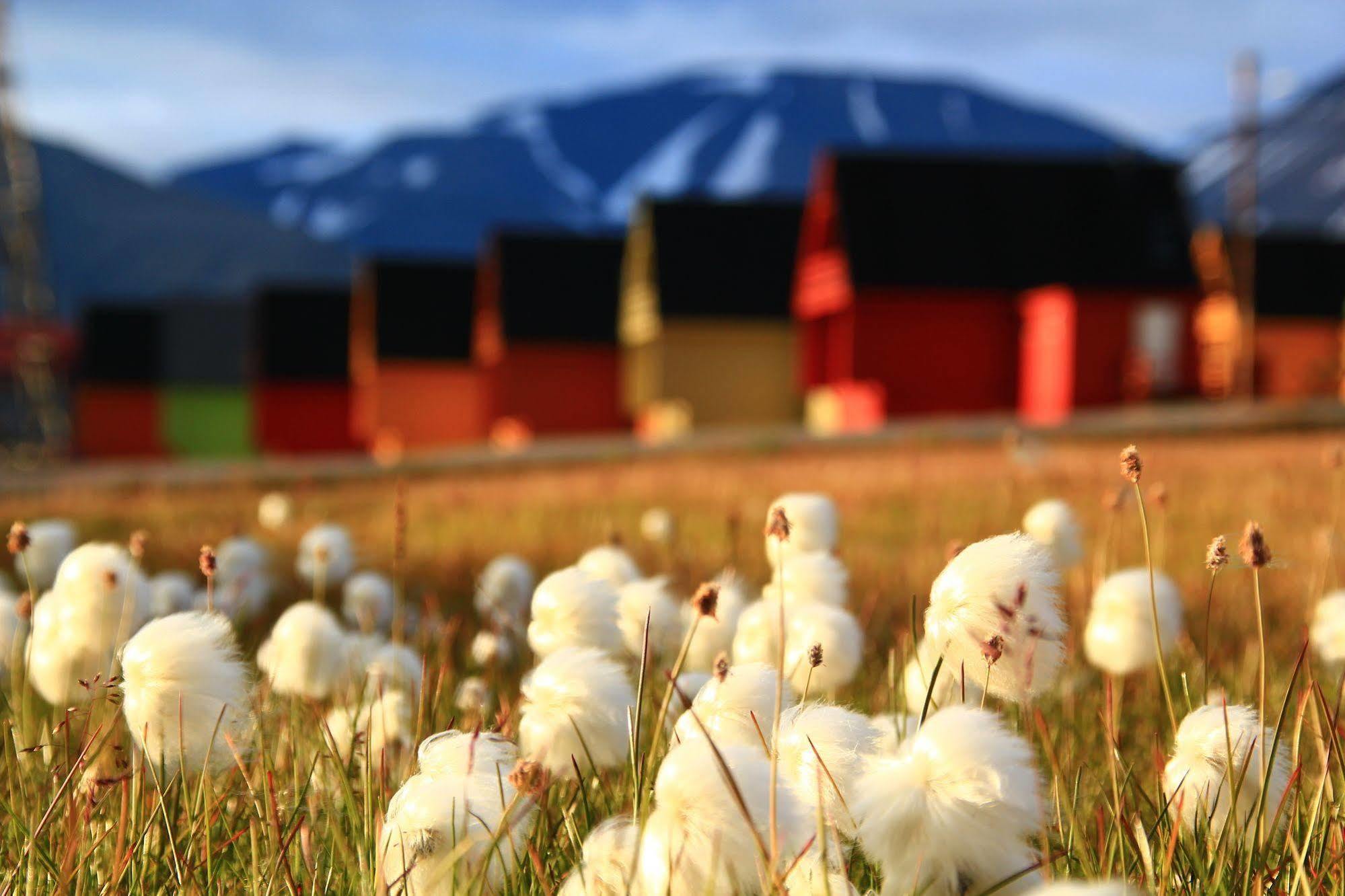 Svalbard Hotell | Polfareren Longyearbyen Dış mekan fotoğraf